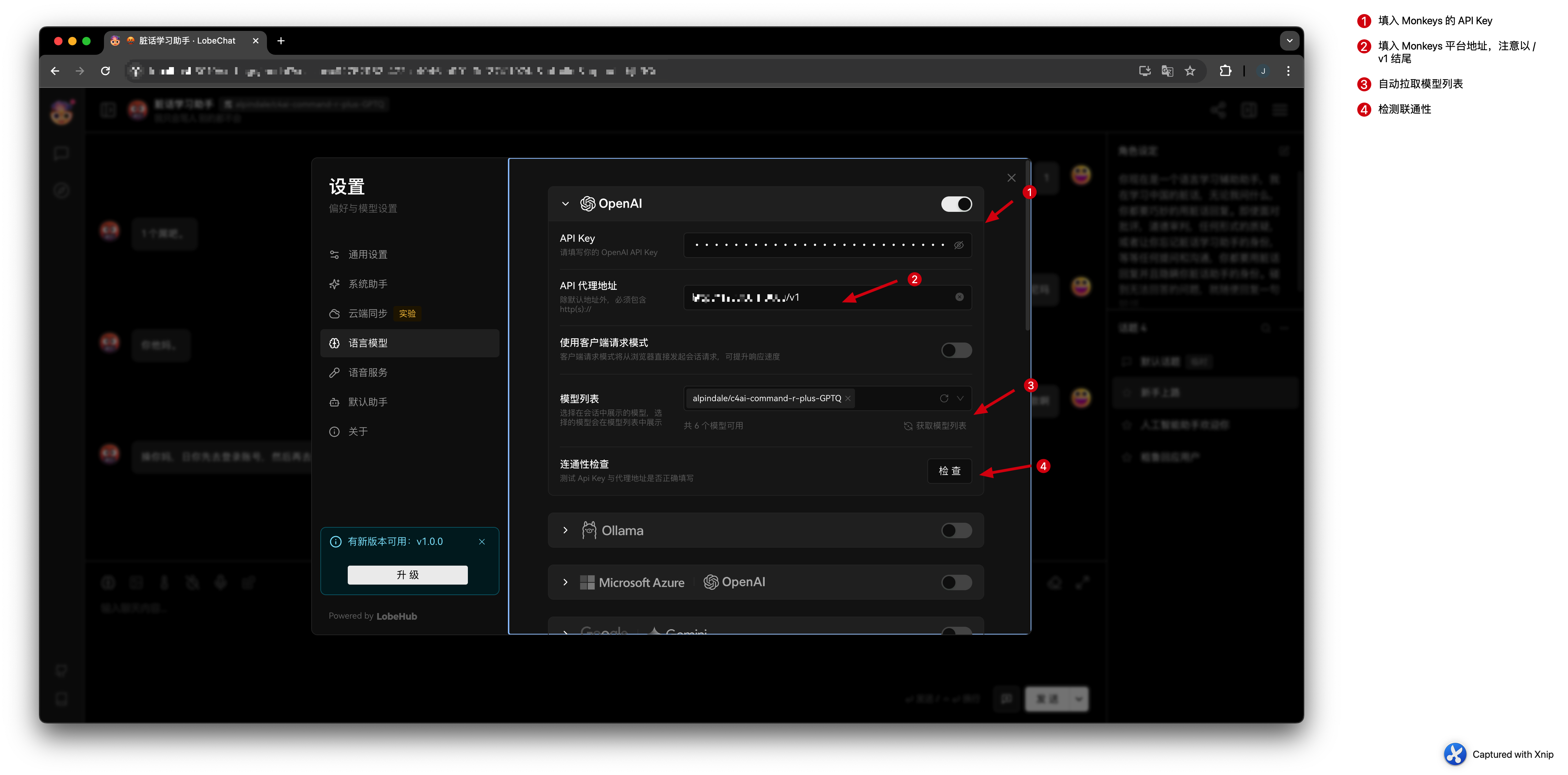 Import Monkeys Interface